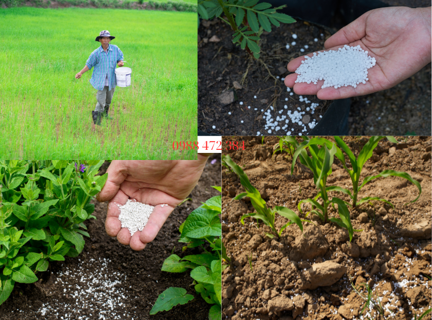 bón phân kali cho cây trồng